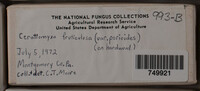 Image Associated With the Occurence